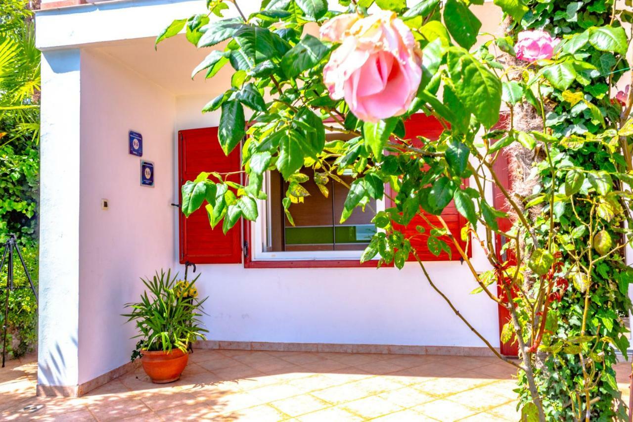 Apartment Leon And Leona أوباتيا المظهر الخارجي الصورة